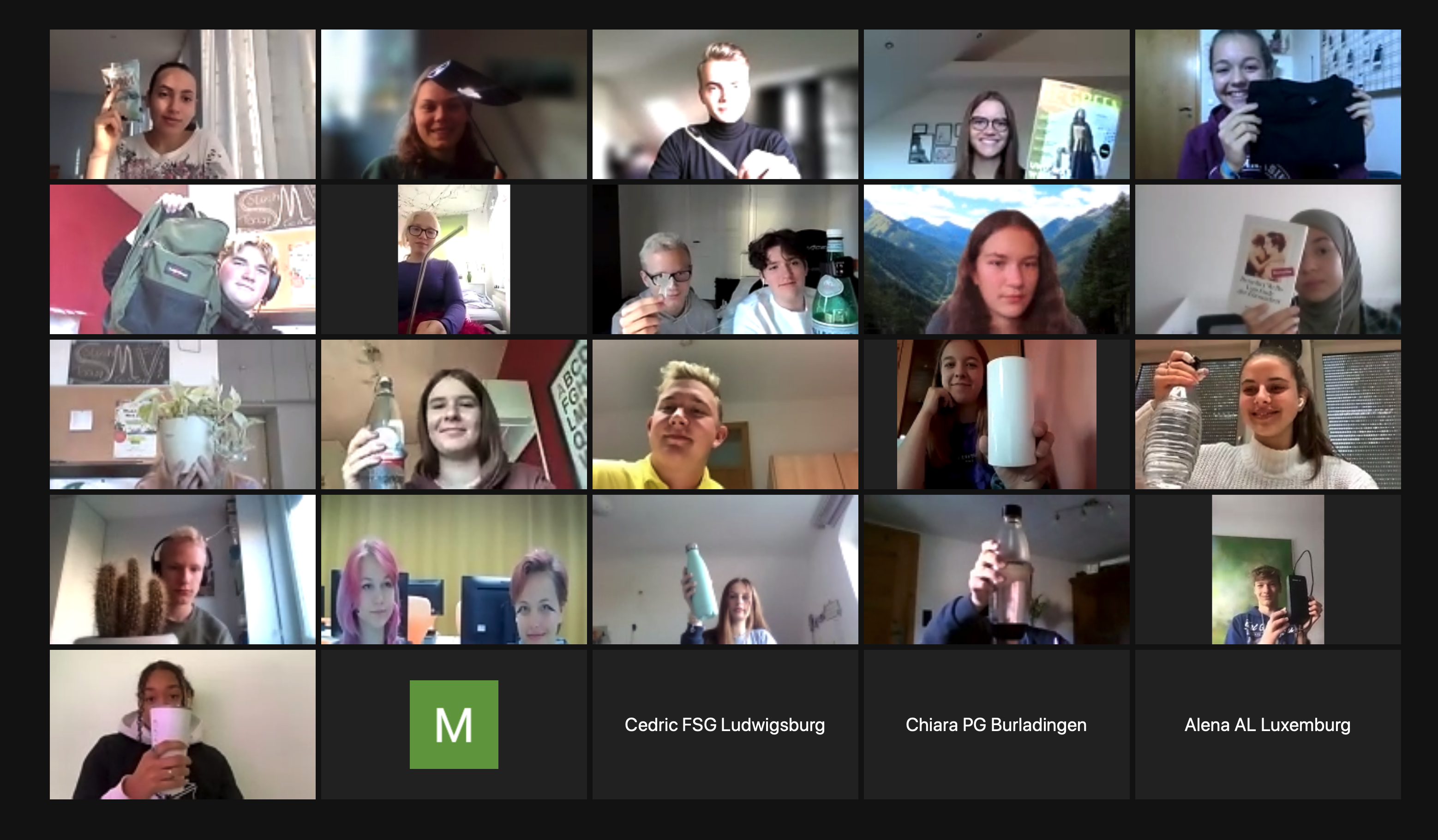 Das Bild zeigt die Bildschirmaufnahme mehrerer Fenster mit Teilnehmern in einer Videokonferenz des Digitalen Netzwerktreffens Active-Four-Future.