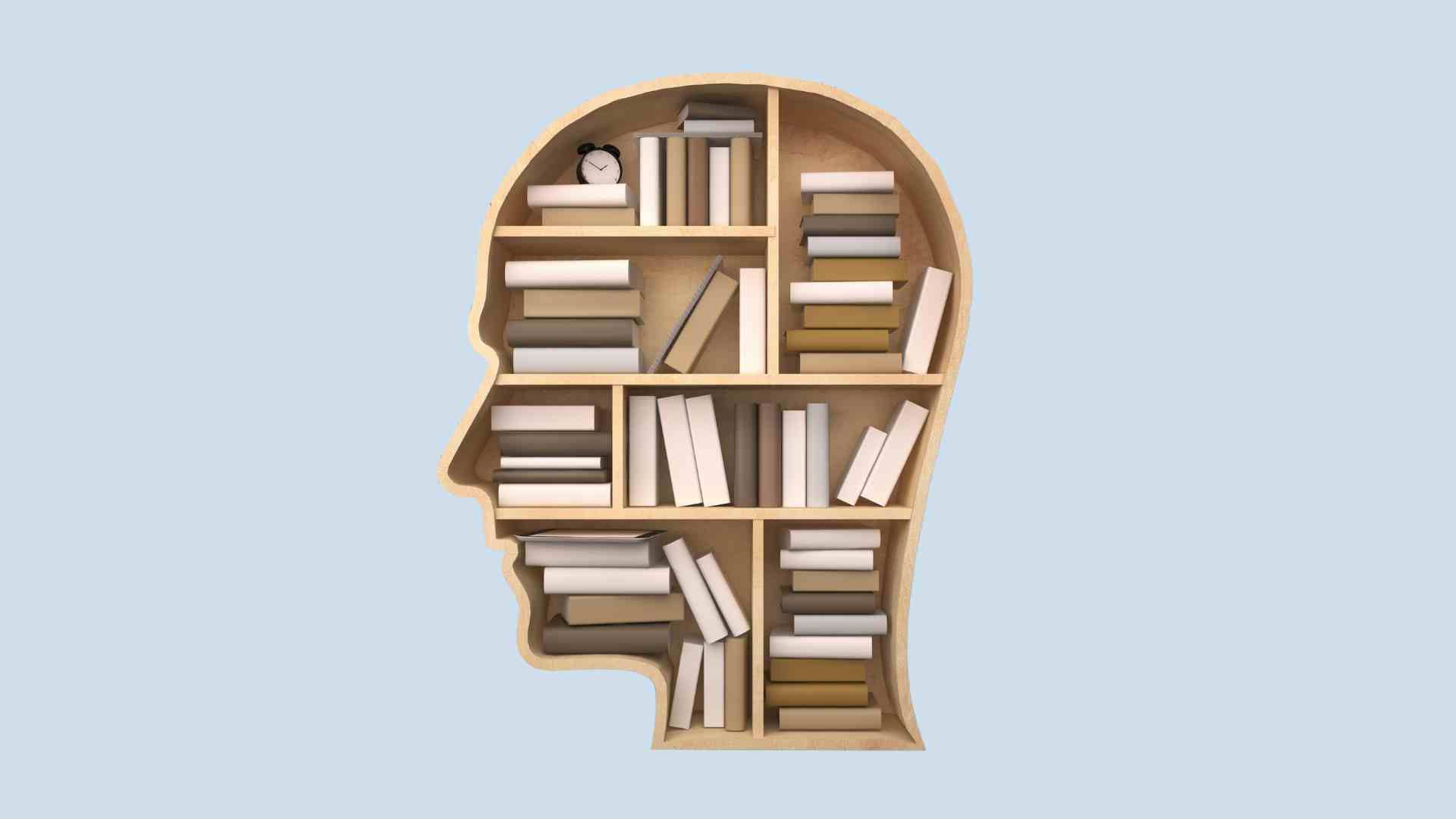 Ein Bücherregal in Form eines Kopfes.